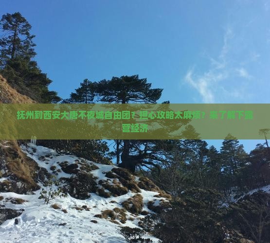 抚州到西安大唐不夜城自由团？担心攻略太麻烦？来了解下露营经济