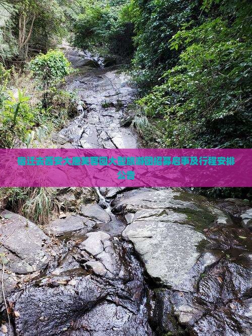 宿迁去西安大唐芙蓉园大型旅游团招募启事及行程安排公告