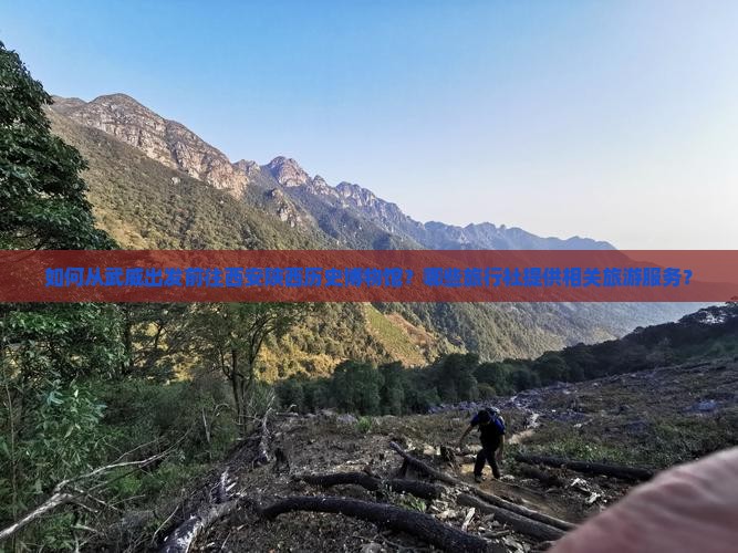 如何从武威出发前往西安陕西历史博物馆？哪些旅行社提供相关旅游服务？