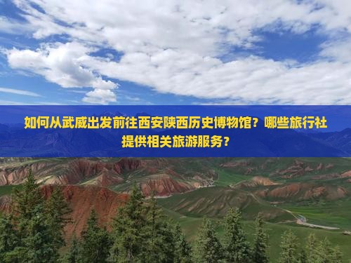 如何从武威出发前往西安陕西历史博物馆？哪些旅行社提供相关旅游服务？