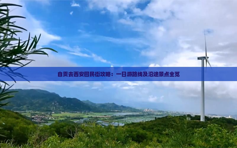 自贡去西安回民街攻略：一日游路线及沿途景点全览