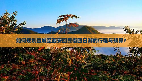 如何规划宣城至西安回民街四日游的行程与预算？