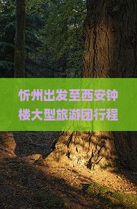 忻州出发至西安钟楼大型旅游团行程、预订信息及特色活动详细介绍