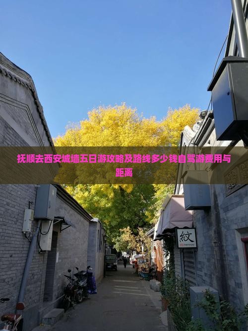 抚顺去西安城墙五日游攻略及路线多少钱自驾游费用与距离
