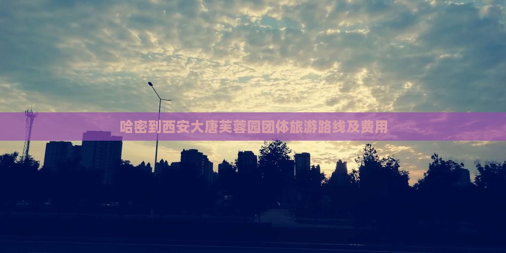 哈密到西安大唐芙蓉园团体旅游路线及费用
