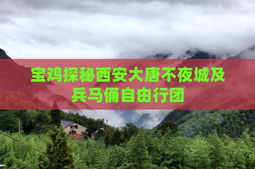 宝鸡探秘西安大唐不夜城及兵马俑自由行团