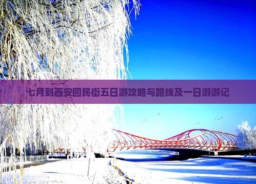 七月到西安回民街五日游攻略与路线及一日游游记