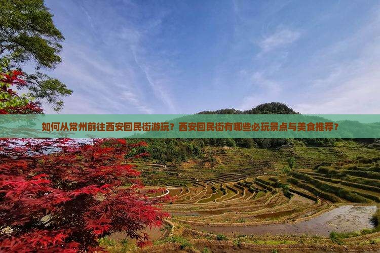 如何从常州前往西安回民街游玩？西安回民街有哪些必玩景点与美食推荐？