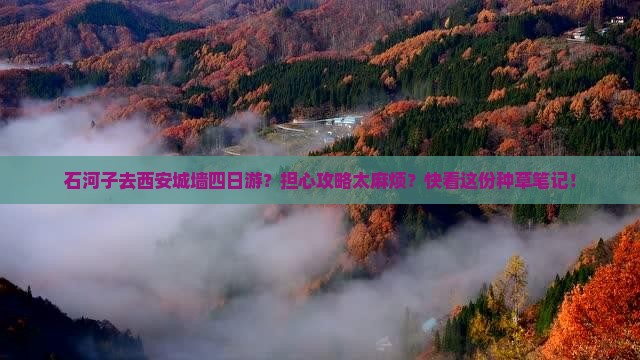 石河子去西安城墙四日游？担心攻略太麻烦？快看这份种草笔记！