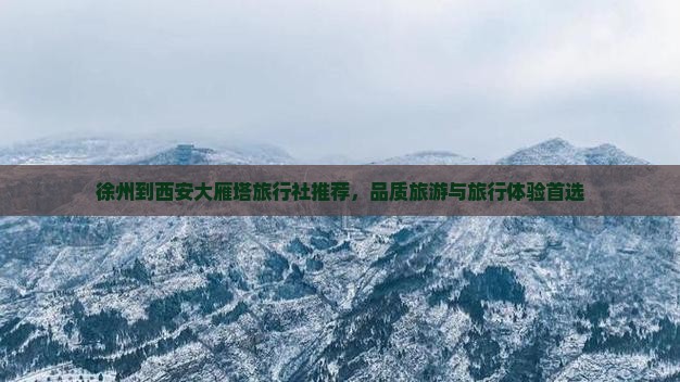 徐州到西安大雁塔旅行社推荐，品质旅游与旅行体验首选