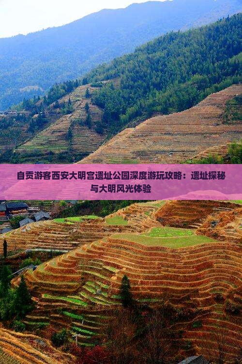 自贡游客西安大明宫遗址公园深度游玩攻略：遗址探秘与大明风光体验