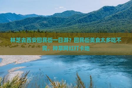 林芝去西安回民街一日游？回民街美食太多吃不完，种草网红打卡地