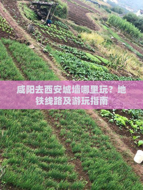 咸阳去西安城墙哪里玩？地铁线路及游玩指南