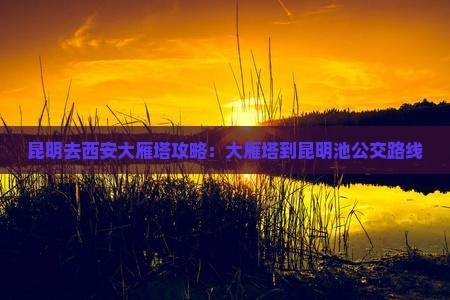 昆明去西安大雁塔攻略:大雁塔到昆明池公交路线 昆明去西安大雁塔攻略:大雁塔到昆明池公交路线
