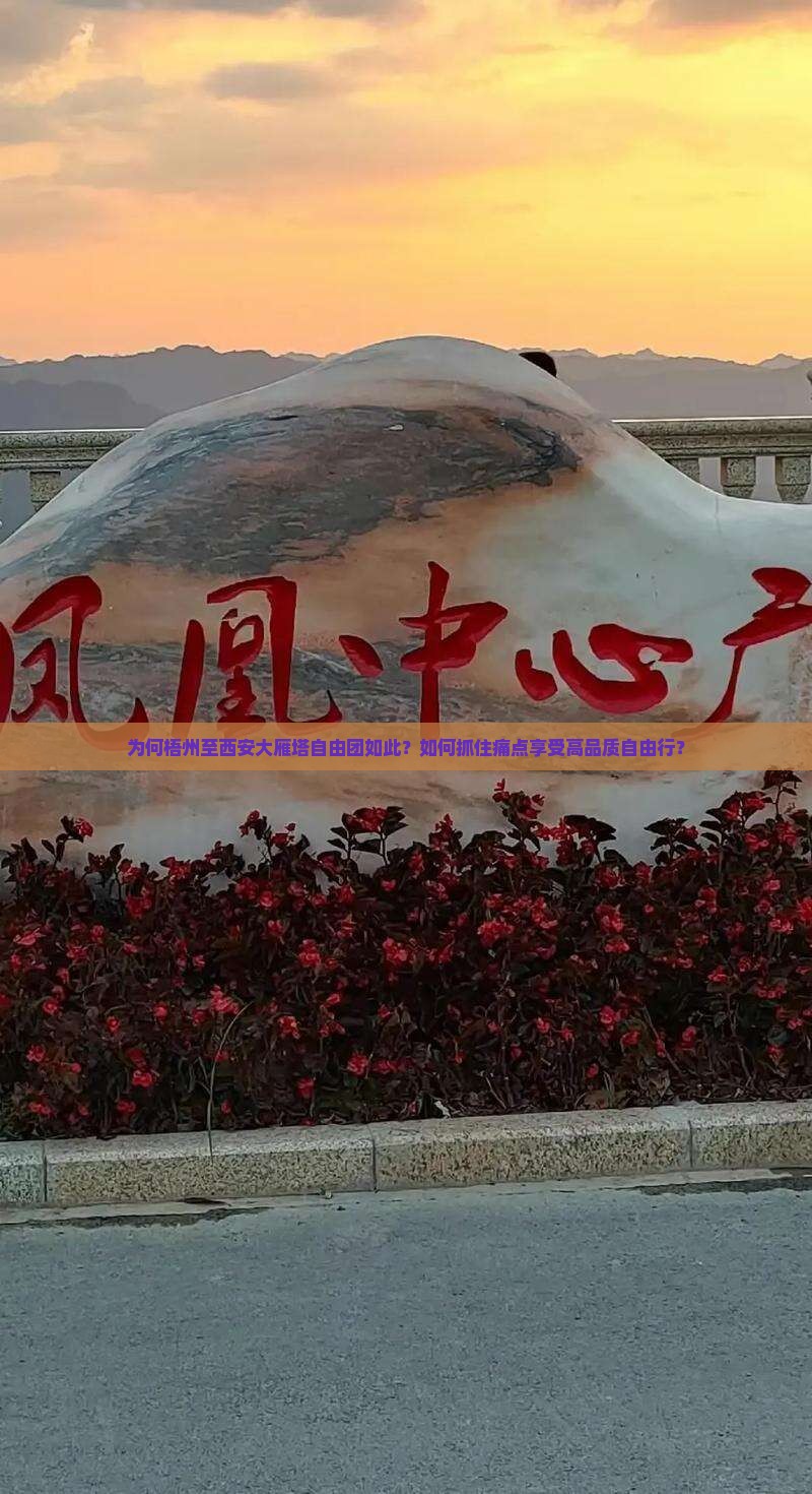 为何梧州至西安大雁塔自由团如此？如何抓住痛点享受高品质自由行？