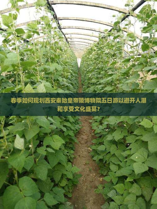 春季如何规划西安秦始皇帝陵博物院五日游以避开人潮和享受文化盛宴？