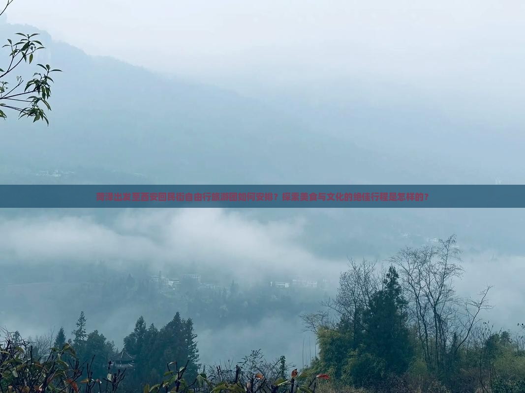 菏泽出发至西安回民街自由行旅游团如何安排？探索美食与文化的绝佳行程是怎样的？