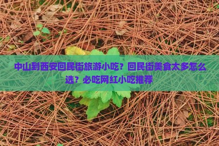 中山到西安回民街旅游小吃？回民街美食太多怎么选？必吃网红小吃推荐