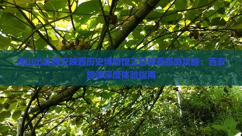 凉山出发西安陕西历史博物馆三日陕西旅游攻略：西安旅游深度体验指南