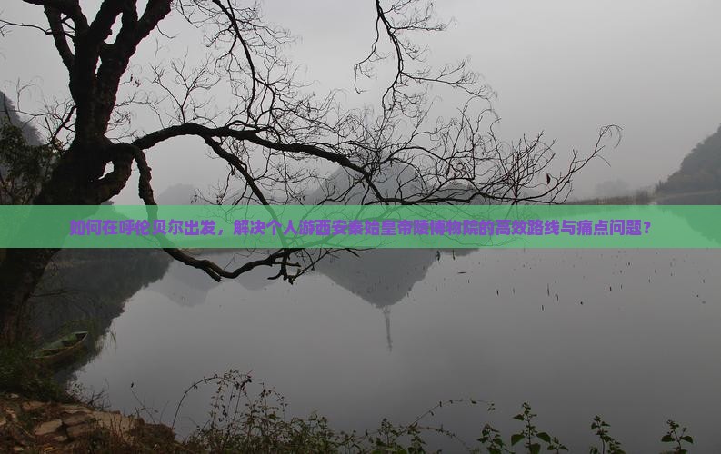 如何在呼伦贝尔出发，解决个人游西安秦始皇帝陵博物院的高效路线与痛点问题？