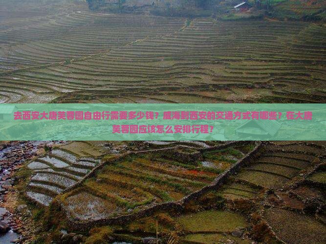去西安大唐芙蓉园自由行需要多少钱？威海到西安的交通方式有哪些？在大唐芙蓉园应该怎么安排行程？