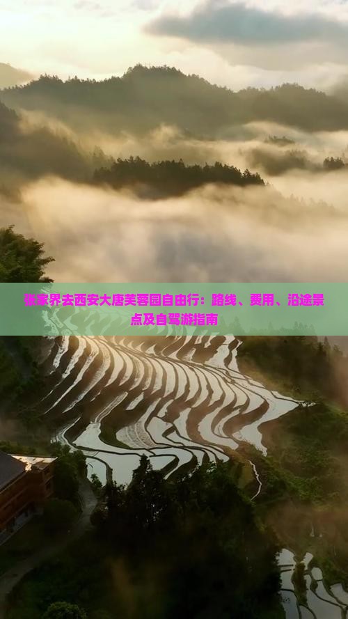张家界去西安大唐芙蓉园自由行：路线、费用、沿途景点及自驾游指南
