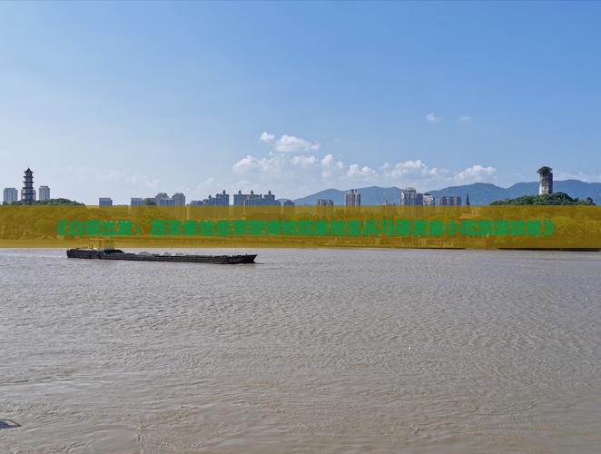 《白银出发：西安秦始皇帝陵博物院秦始皇兵马俑美食小吃旅游攻略》