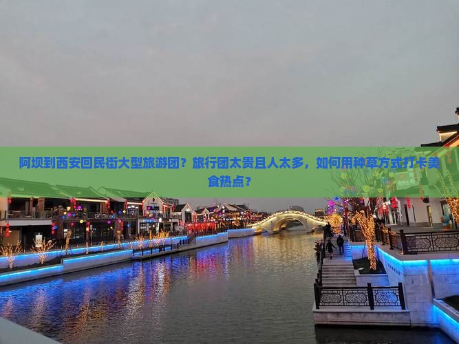 阿坝到西安回民街大型旅游团？旅行团太贵且人太多，如何用种草方式打卡美食热点？