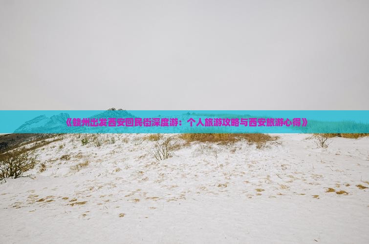 《赣州出发西安回民街深度游：个人旅游攻略与西安旅游心得》