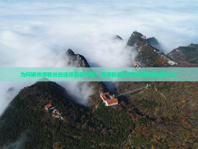 为何郴州游客纷纷选择西安钟楼？旅游新痛点与热词背后的吸引力！