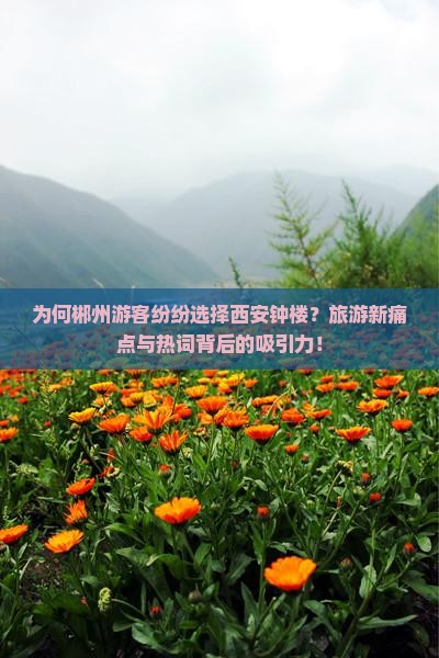 为何郴州游客纷纷选择西安钟楼？旅游新痛点与热词背后的吸引力！