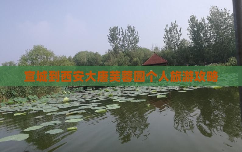 宣城到西安大唐芙蓉园个人旅游攻略
