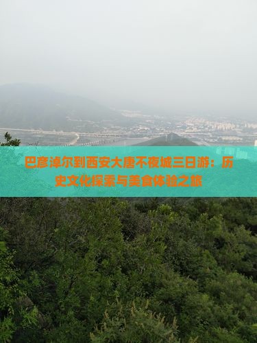 巴彦淖尔到西安大唐不夜城三日游：历史文化探索与美食体验之旅