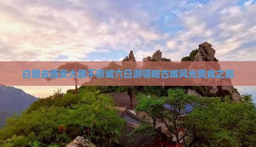 白银去西安大唐不夜城六日游领略古城风光美食之旅
