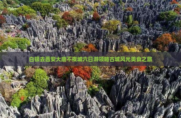 白银去西安大唐不夜城六日游领略古城风光美食之旅
