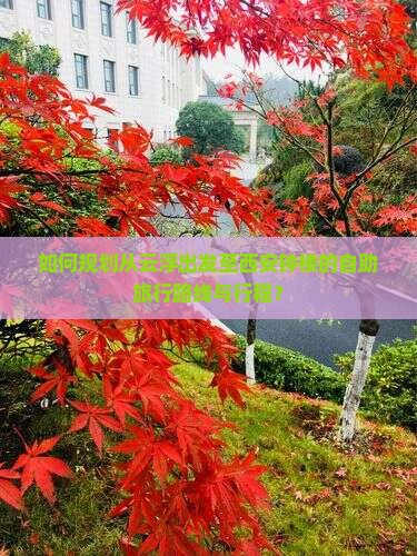 如何规划从云浮出发至西安钟楼的自助旅行路线与行程？