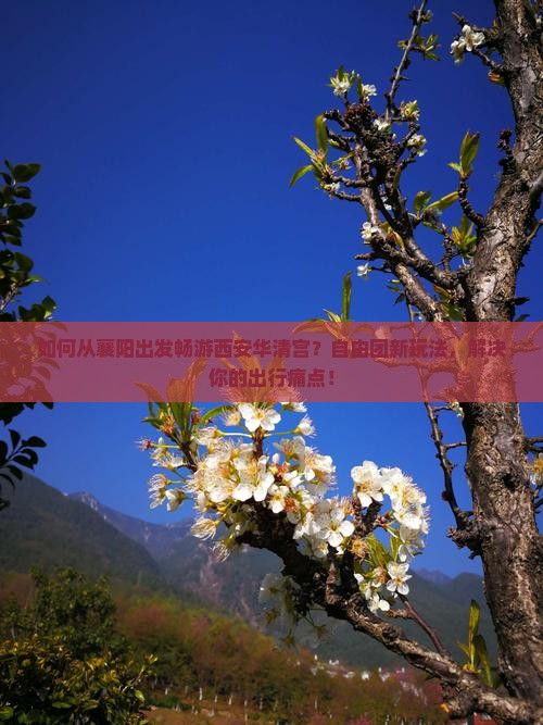 如何从襄阳出发畅游西安华清宫？自由团新玩法，解决你的出行痛点！