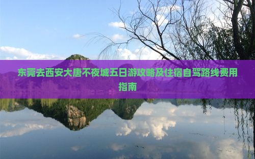 东莞去西安大唐不夜城五日游攻略及住宿自驾路线费用指南
