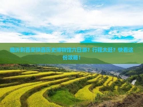 临沂到西安陕西历史博物馆六日游？行程太赶？快看这份攻略！