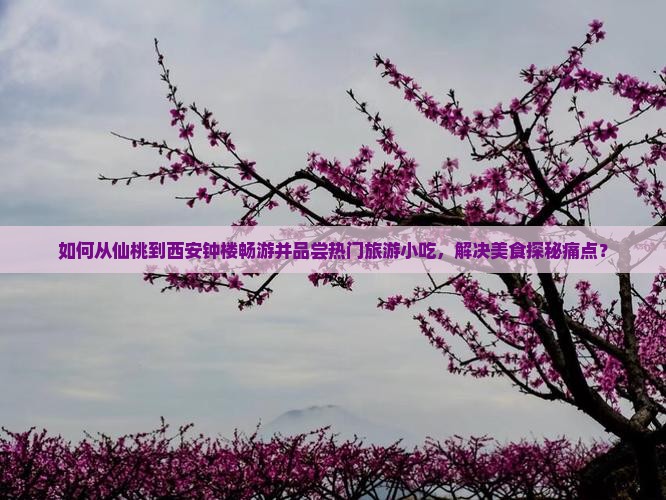如何从仙桃到西安钟楼畅游并品尝热门旅游小吃，解决美食探秘痛点？