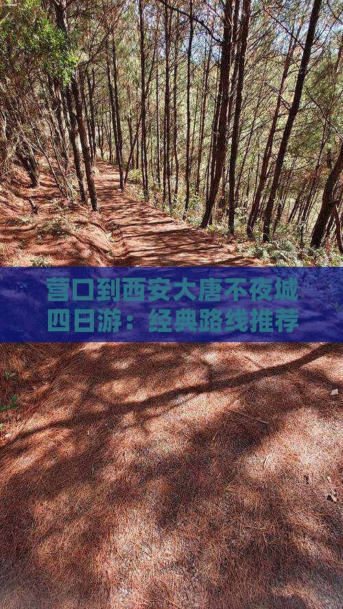 营口到西安大唐不夜城四日游：经典路线推荐