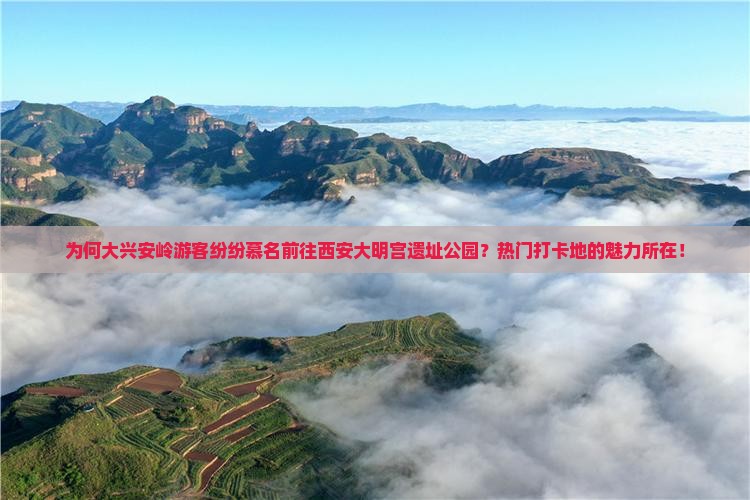为何大兴安岭游客纷纷慕名前往西安大明宫遗址公园？热门打卡地的魅力所在！
