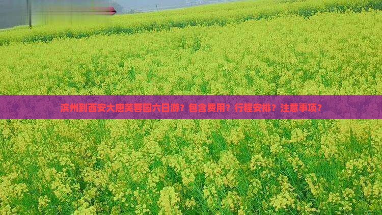 滨州到西安大唐芙蓉园六日游？包含费用？行程安排？注意事项？