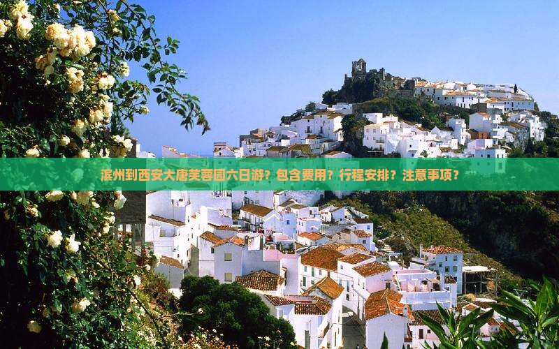 滨州到西安大唐芙蓉园六日游？包含费用？行程安排？注意事项？