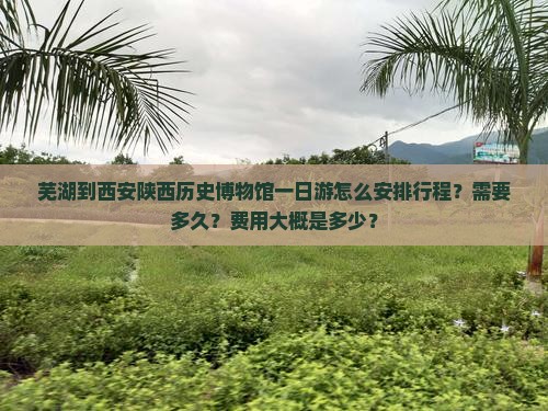 芜湖到西安陕西历史博物馆一日游怎么安排行程？需要多久？费用大概是多少？