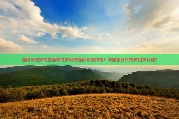 如何从雅安前往西安并参观陕西历史博物馆？哪些旅行社提供相关行程？
