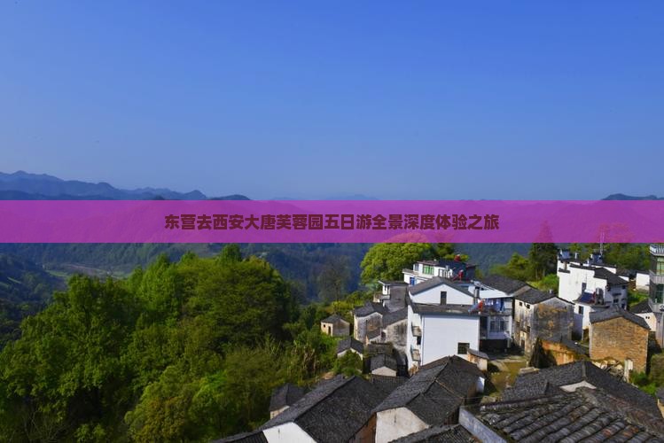东营去西安大唐芙蓉园五日游全景深度体验之旅
