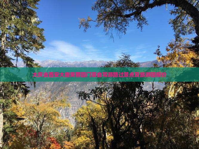 大庆去西安大唐芙蓉园门票自驾游路过景点及旅游团报价