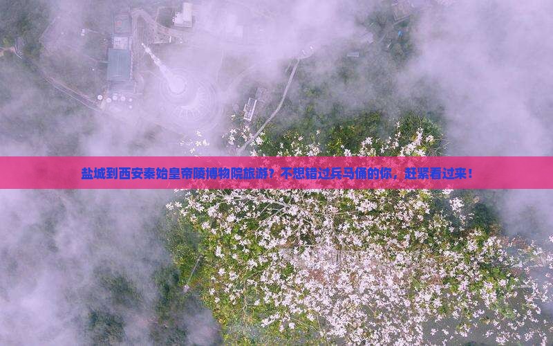盐城到西安秦始皇帝陵博物院旅游？不想错过兵马俑的你，赶紧看过来！