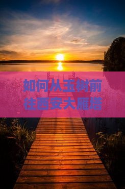 如何从玉树前往西安大雁塔及门票预订详解？